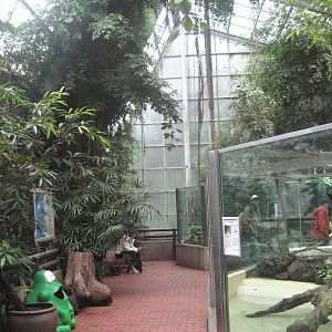 Dortmund Zoo - Amazonas House