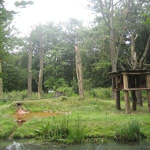 Dortmund Zoo - Orangutan exhibit