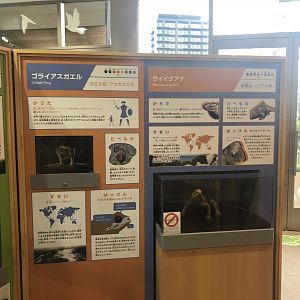 Zoo Museum - Educational boards