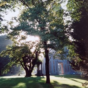 View at the old tower