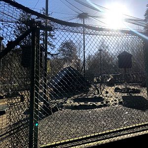 Wildpark Lüneburger Heide- fowl aviary- 2021