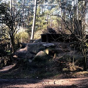 Wildpark Lüneburger Heide- grey wolf enclosure.- 2021
