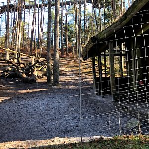 Wildpark Lüneburger Heide- Himalayan tahr enclosure- 2021
