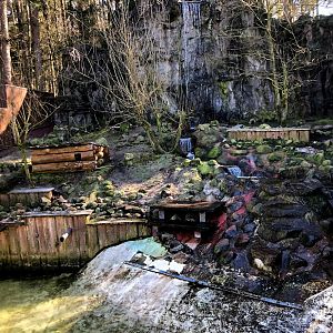 Wildpark Lüneburger Heide- land part of the otter enclosure- 2021