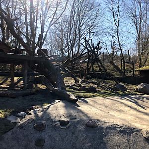 Wildpark Lüneburger Heide- porcupine and racoon exhibit- 2021