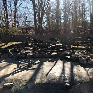 Wildpark Lüneburger Heide- wolverine enclosure- 2021