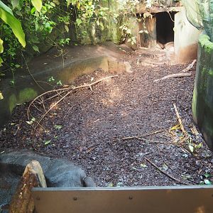 Part of the Aardvark Exhibit