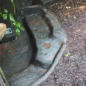 Part of the Aardvark Exhibit