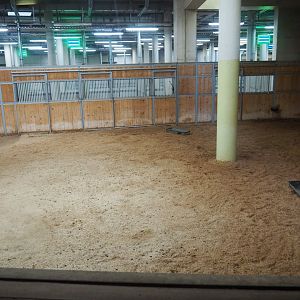 African Hoofstock Stable