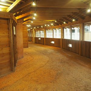 African Hoofstock Stable