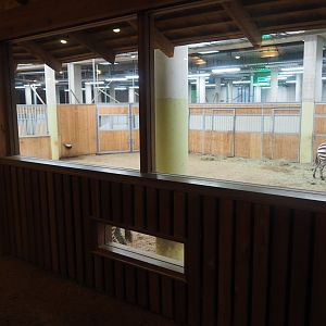 African Hoofstock Stable