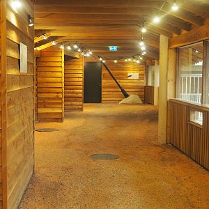 African Hoofstock Stable