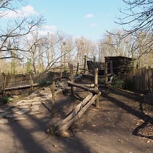 Adventurous American Plains bison and Rocky Mountain wapiti viewing area, 2021-02-23