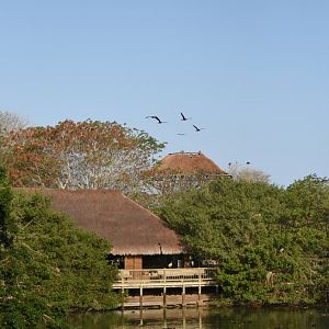 Central lake and gift shop
