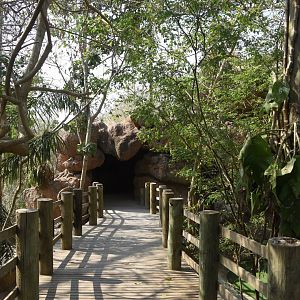 Tropical rainforest aviary entrance