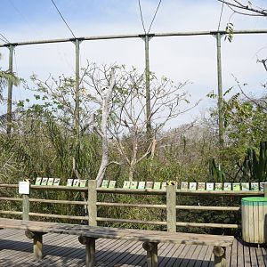 Tropical rainforest aviary main viewing platform