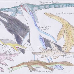 Meso-posters: plesiosauria