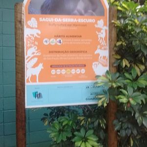 Signage for Buffy tufted marmoset