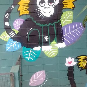 Buffy tufted marmoset mural / art