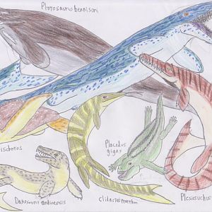 Meso-posters: assortment of marine reptiles
