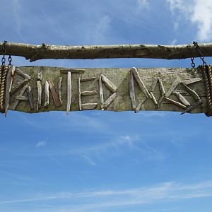 Signage - Painted Dog