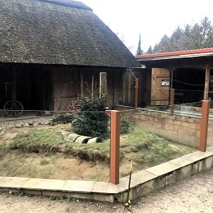 Wildpark Schwarze Berge-beech marten enclosure- 2021