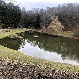 Wildpark Schwarze Berge- small lake within walkthrough fallow deer enclosure- 2021
