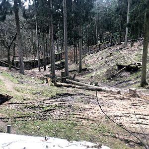 Wildpark Schwarze Berge- European brown bear enclosure- 2021