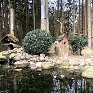 Wildpark Schwarze Berge- racoon and racoon dog exhibit- 2021