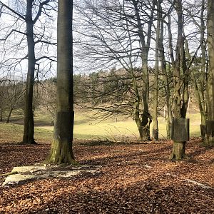 Wildpark Schwarze Berge- massive red deer enclosure- 2021
