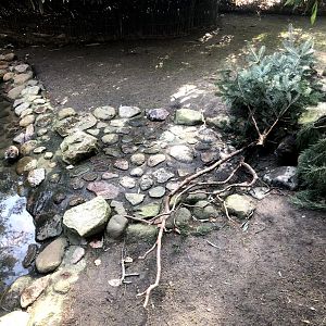 Wildpark Schwarze Berge- two nutria- 2021