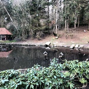 Wildpark Schwarze Berge- pond for water fowl- 2021
