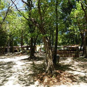 General view - Bosque dos sonhos park and mini zoo (João Pessoa)