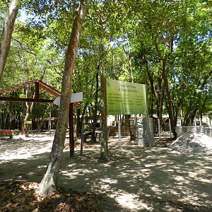 One of the entrances - Bosque dos sonhos park and mini zoo (João Pessoa)