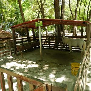 Pony pen - Bosque dos sonhos park and mini zoo (João Pessoa)