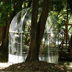 Aviary - Bosque dos sonhos park and mini zoo (João Pessoa)