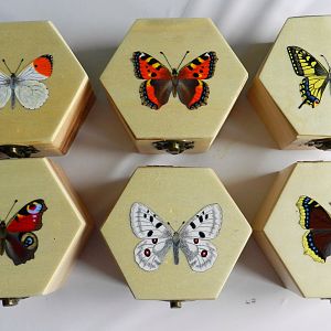 Painted wood boxes