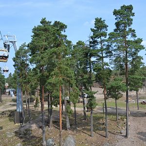 The savannah at Kolmården safari