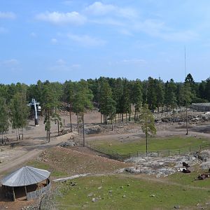 The savannah at Kolmården safari