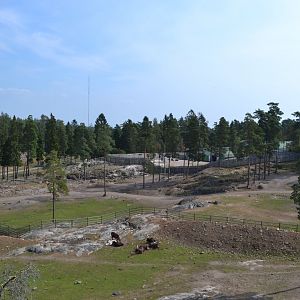 The savannah at Kolmården safari