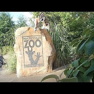 Welcome to the Nashville Zoo... (Virtual Zoo Tours)