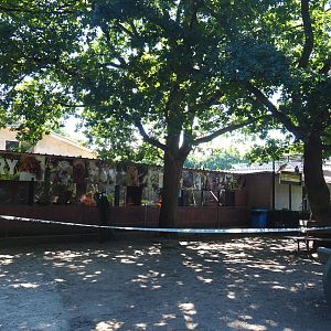 Park view near the nursery and the parrot aviary block, 2020-06-20