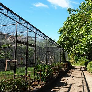 Aviary block with parrots and other birds, 2020-06-20