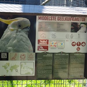 Signage example - Eleonora cockatoo, 2020-06-20