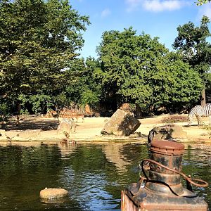 Erlebnis-Zoo Hannover- view onto savanna enclosure from the boat- 2020