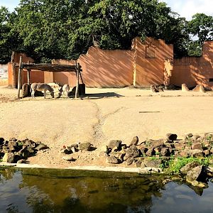 Erlebnis-Zoo Hannover- addax and wild ass enclosure- 2020