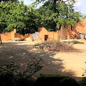 Erlebnis-Hannover- addax and wild ass enclosure- 2020