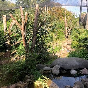 Erlebnis-Zoo Hannover- left part of drill exhibit- 2020