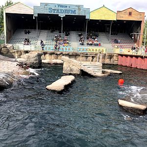 Erlebnis-Zoo Hannover- pinniped enclosure- 2020
