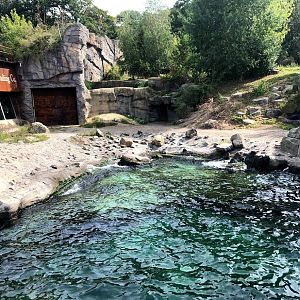Erlebnis-Zoo Hannover- bigger polar bear enclosure- 2020
